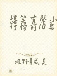 爆笑有声小说排行榜前10名