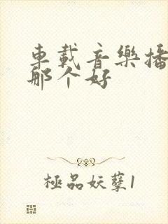 车载音乐播放器那个好