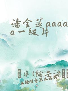 潘金莲aaaaa一级片