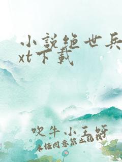 小说绝世兵王txt下载