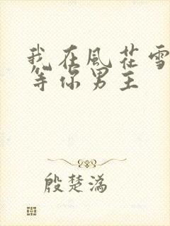 我在风花雪月里等你男主