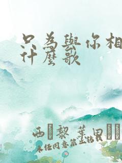 只为与你相遇是什么歌
