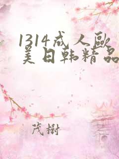 1314成人欧美日韩精品