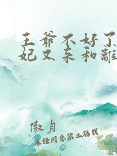王爷不好了,王妃又来和离了小说