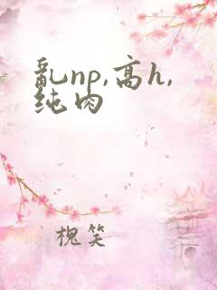 乱np,高h,纯肉