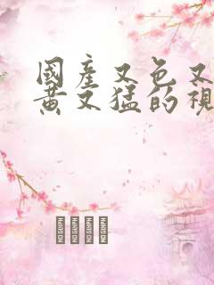 国产又色又爽又黄又猛的视频