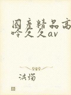 国产精品高潮呻呤久久av