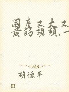 国产又大又爽又黄的视频,一`