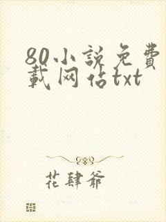 80小说免费下载网站txt