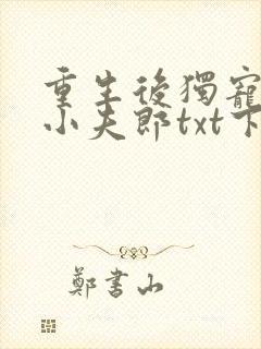 重生后独宠灾星小夫郎txt下载