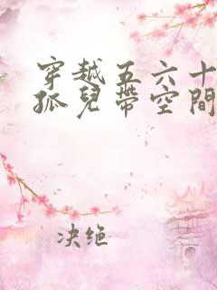 穿越五六十年代孤儿带空间的小说