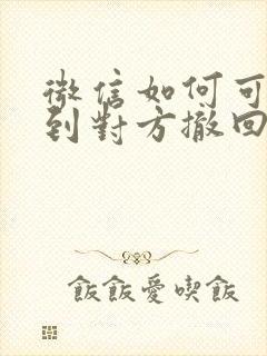 微信如何可以看到对方撤回的消息