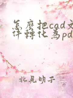 怎么把cad文件转化为pdf格式带颜色