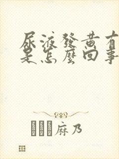 尿液发黄有泡沫是怎么回事