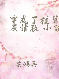 穿成了校草的炮灰情敌 小说