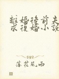 离婚后前夫哭着求复婚小说在线收听