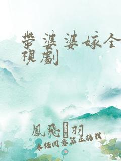 带婆婆嫁全集电视剧
