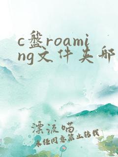 c盘roaming文件夹哪些可以删