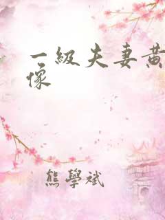 一级夫妻黄色录像