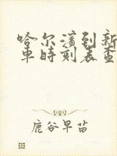 哈尔滨到新肇客车时刻表查询