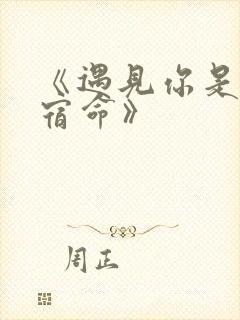 《遇见你是我的宿命》