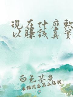 现在什么软件可以赚钱真实可靠