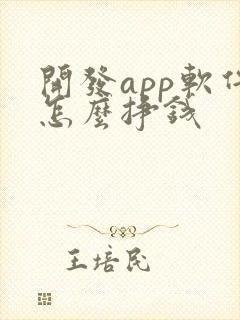 开发app软件怎么挣钱