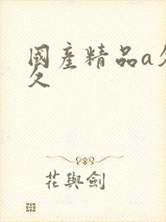 国产精品a久久久