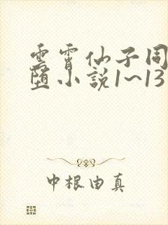 云霄仙子同人恶堕小说1~13