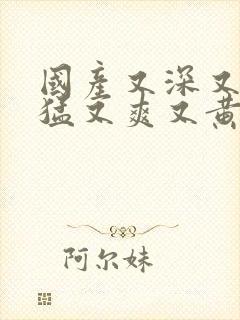 国产又深又粗又猛又爽又黄