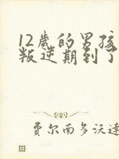 12岁的男孩子叛逆期到了吗