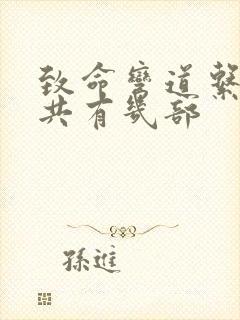 致命弯道系列一共有几部