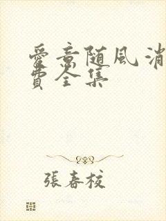 爱意随风消逝免费全集