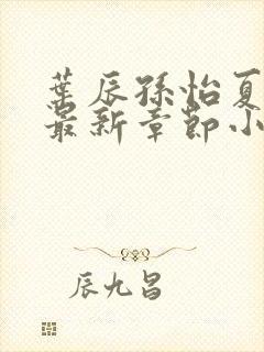 叶辰孙怡夏若雪最新章节小说