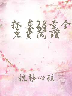 抓灰28章全部免费阅读