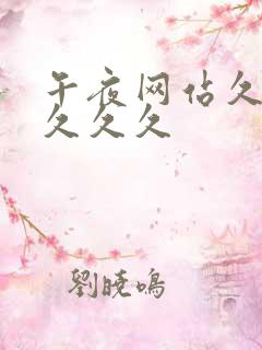 午夜网站久久久久久久