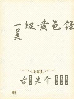 一级黄色录像欧美
