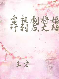 电视剧将婚姻进行到底大结局