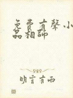 免费有声小说超品相师