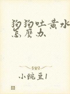 狗狗吐黄水拉稀怎么办