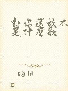 对你还放不下去是什么歌