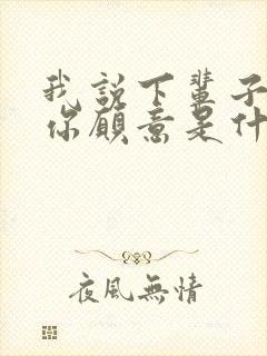 我说下辈子如果你愿意是什么歌名