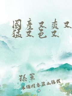 国产又爽又粗又猛又色又