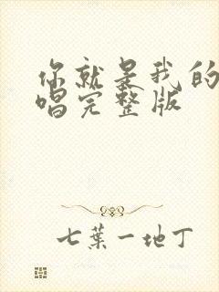 你就是我的爱原唱完整版