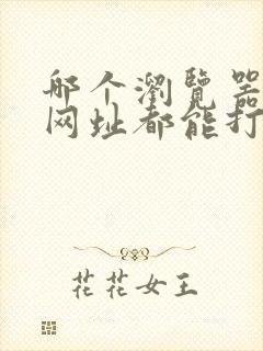 哪个浏览器什么网址都能打开