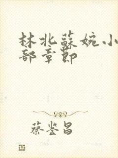 林北苏婉小说全部章节