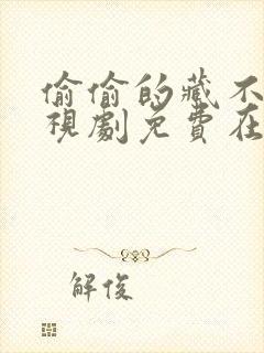 偷偷的藏不住电视剧免费在线