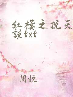 红楼之挽天倾小说txt