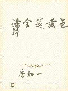 潘金莲黄色一级片