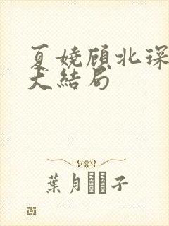 夏娆顾北琛许蕊大结局